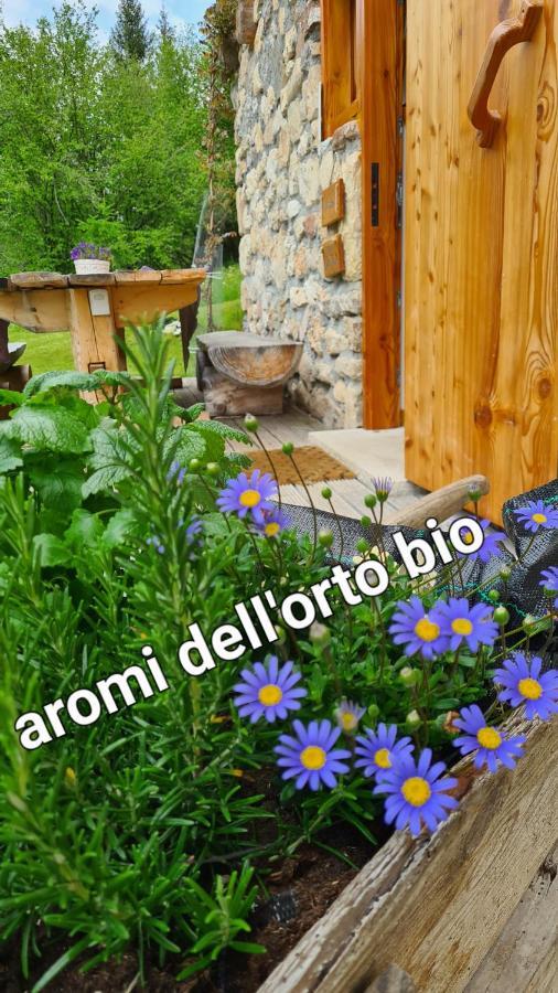 Baita Pra Petina Pale Di San Martino Siror Εξωτερικό φωτογραφία
